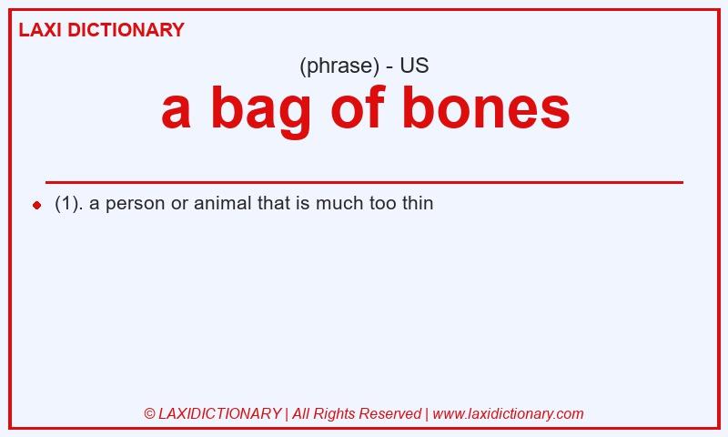 Definition a bag of bones in American English