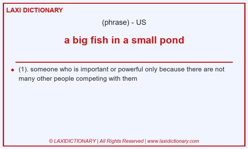 Definition a big fish in a small pond in American English