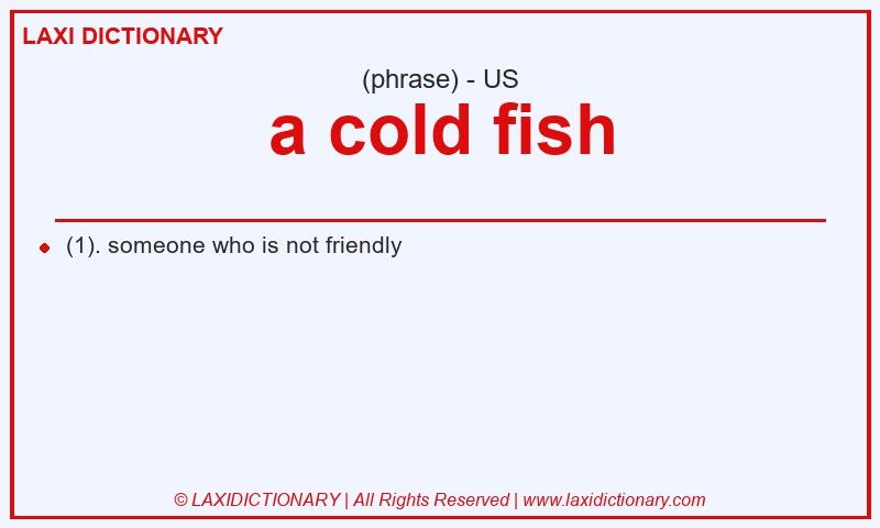 Definition a cold fish in American English