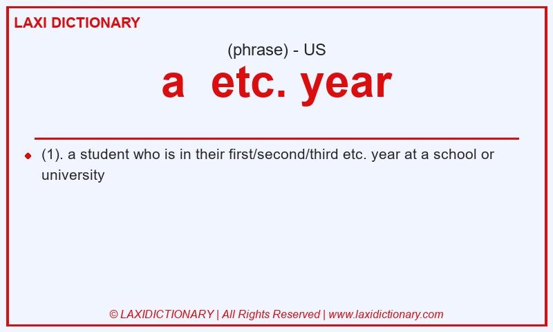 Definition a  etc. year in American English