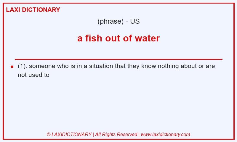 Definition a fish out of water in American English