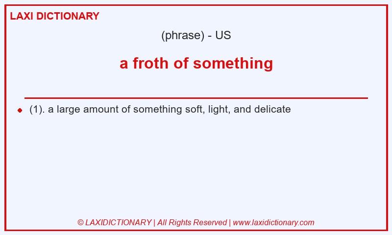 Definition a froth of something in American English