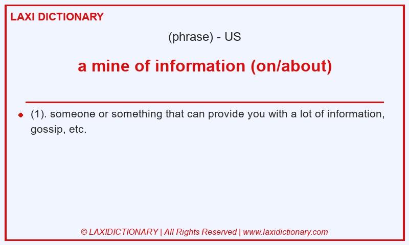 Definition a mine of information (on/about) in American English