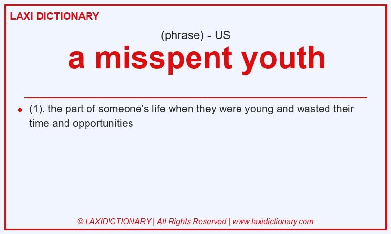 Definition a misspent youth in American English
