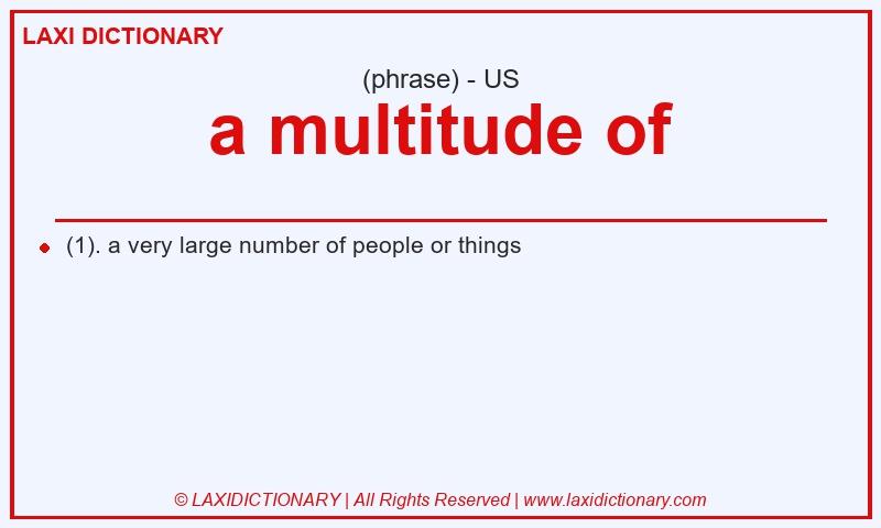 Definition a multitude of in American English