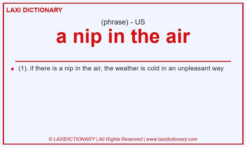 Definition a nip in the air in American English