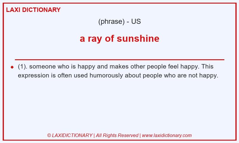 Definition a ray of sunshine in American English