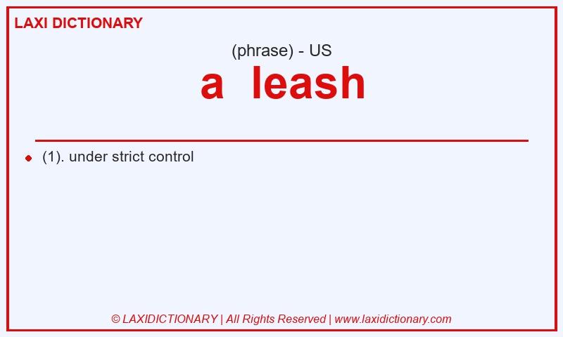 Definition a leash in American English