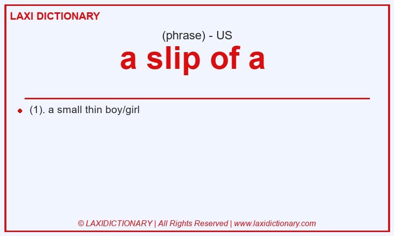Definition a slip of a  in American English