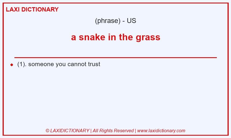 Definition a snake in the grass in American English
