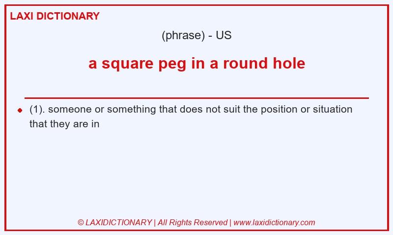 Definition a square peg in a round hole in American English