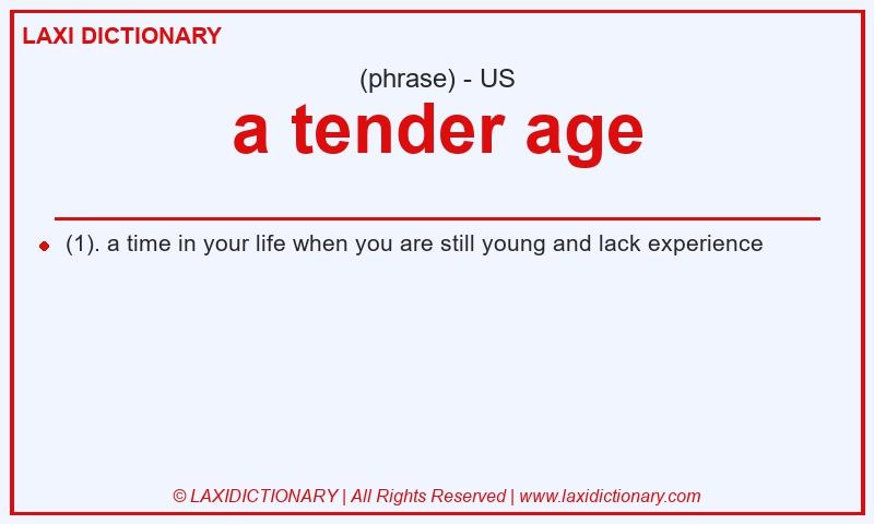 Definition a tender age in American English