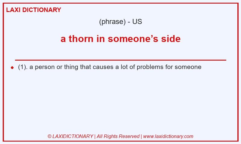 Definition a thorn in someone’s side in American English