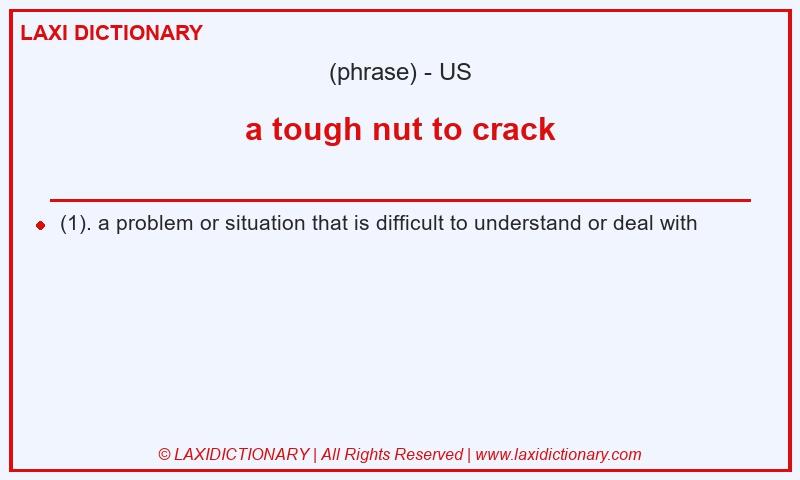 Definition a tough nut to crack in American English