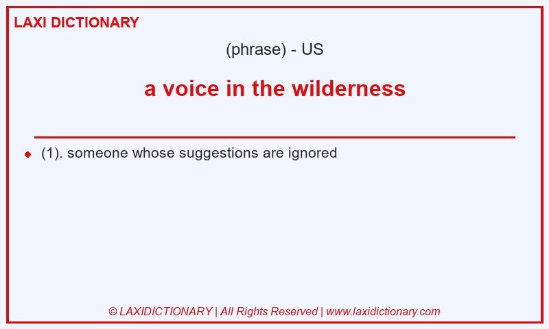 Definition a voice in the wilderness in American English
