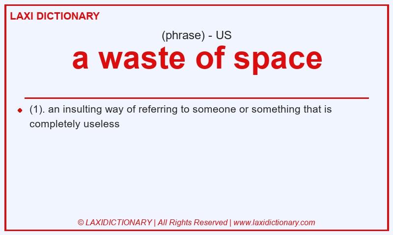 Definition a waste of space in American English
