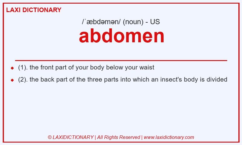 Definition abdomen in American English