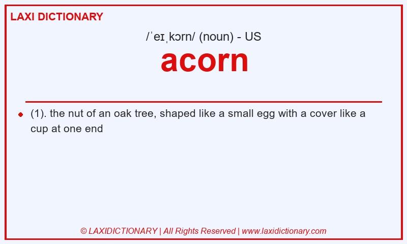 Definition acorn in American English