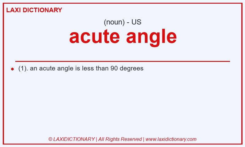 Definition acute angle in American English