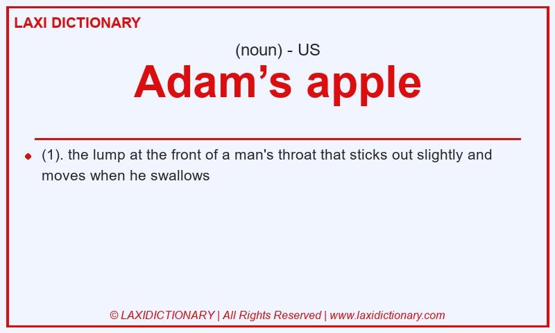 Definition Adam’s apple in American English