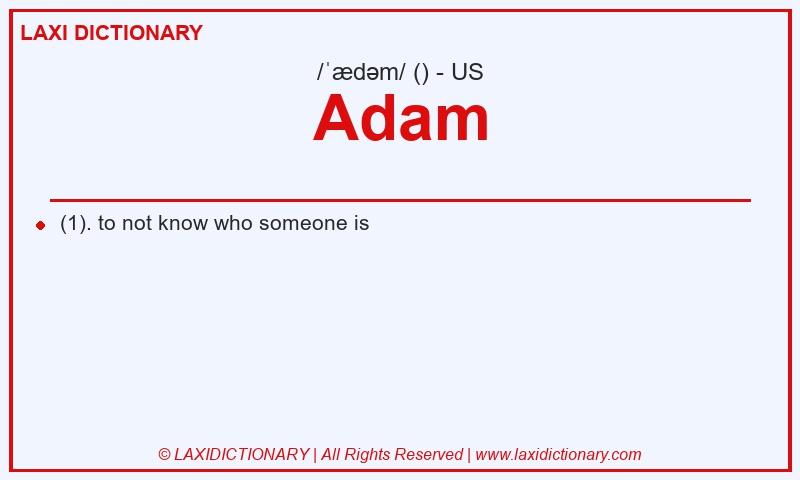 Definition Adam in American English
