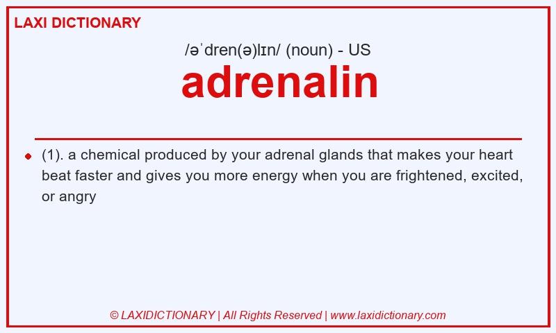 Definition adrenalin in American English