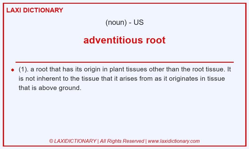 Definition adventitious root in American English