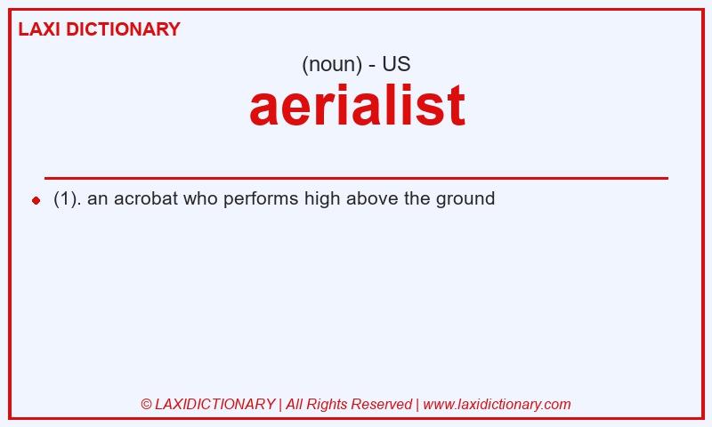 Definition aerialist in American English