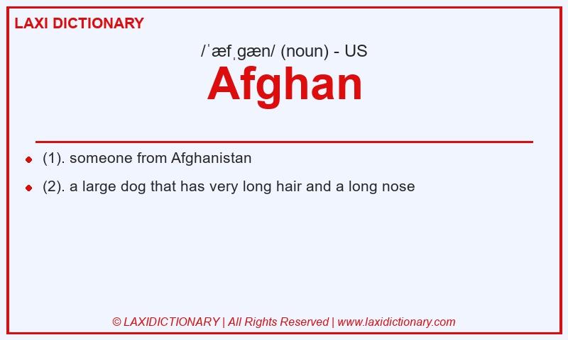 Definition Afghan in American English