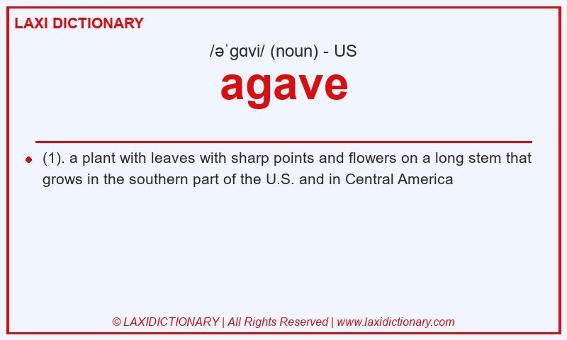 Definition agave in American English