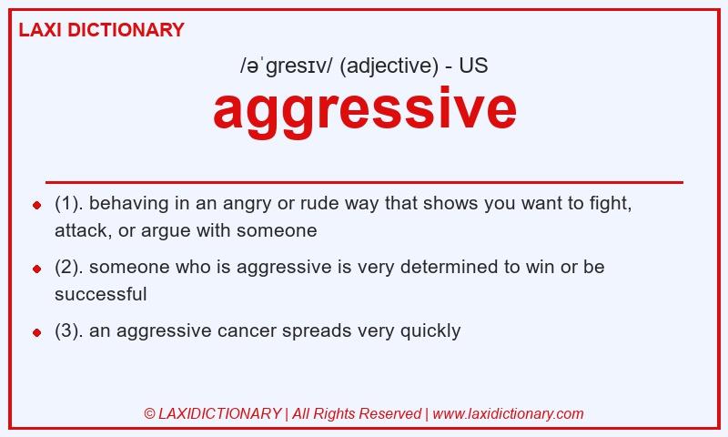 Definition aggressive in American English