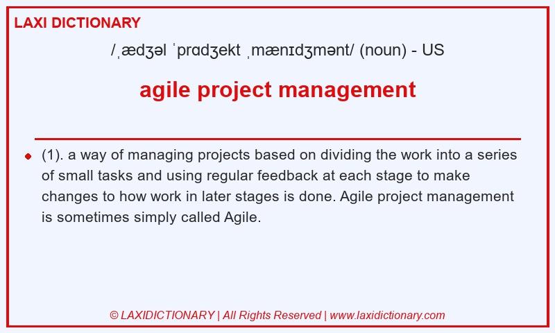 Definition agile project management in American English
