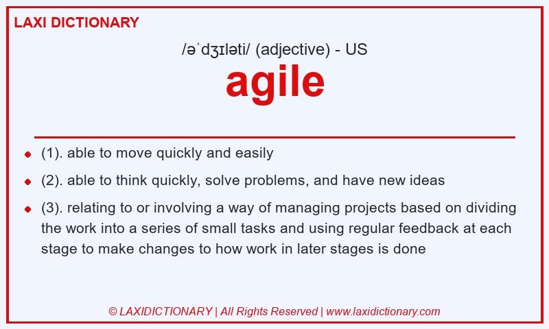 Definition agile in American English