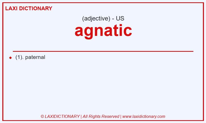 Definition agnatic in American English