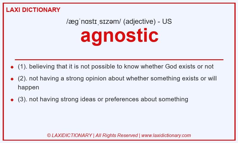 Definition agnostic in American English