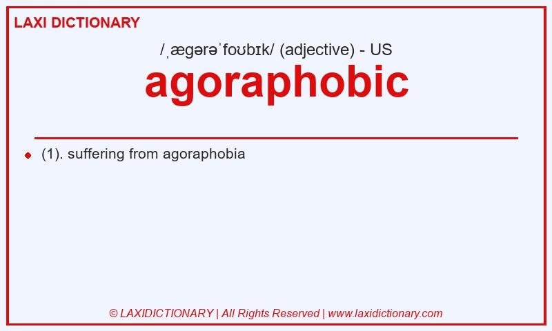 Definition agoraphobic in American English