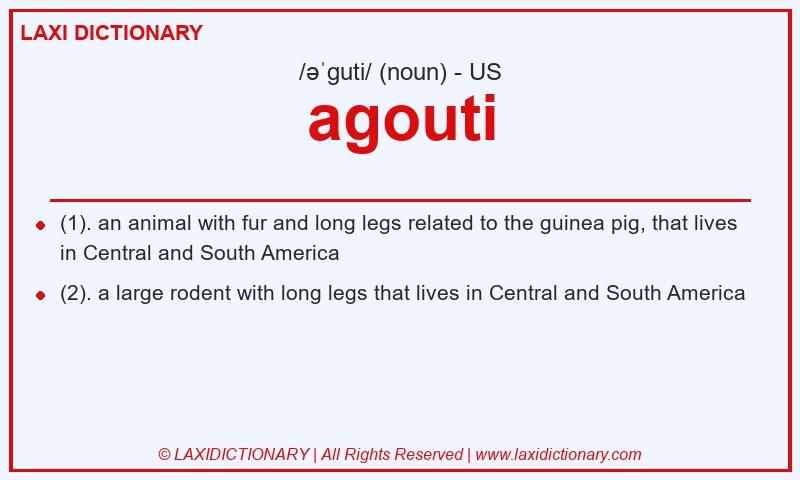 Definition agouti in American English