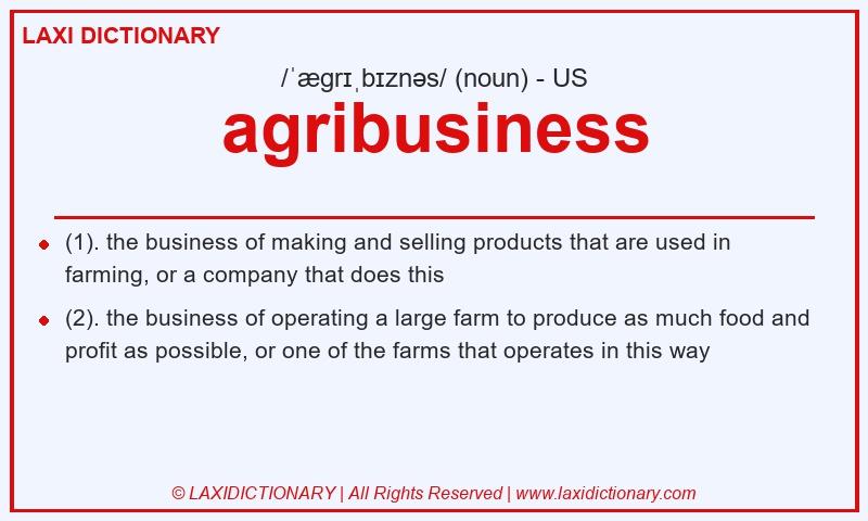 Definition agribusiness in American English