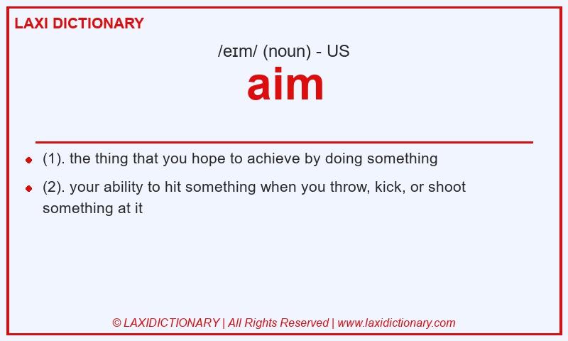 Definition aim in American English