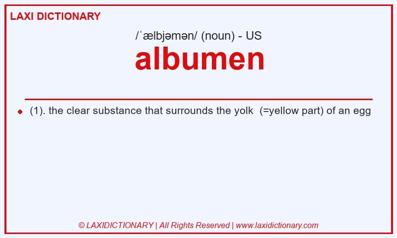 Definition albumen in American English