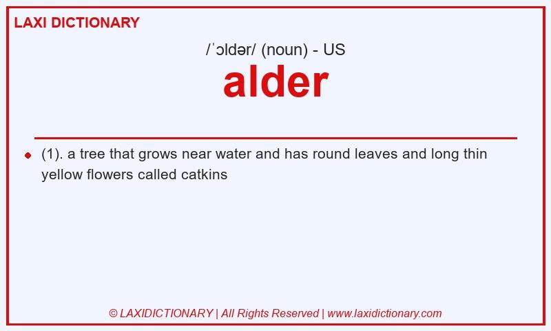 Definition alder in American English