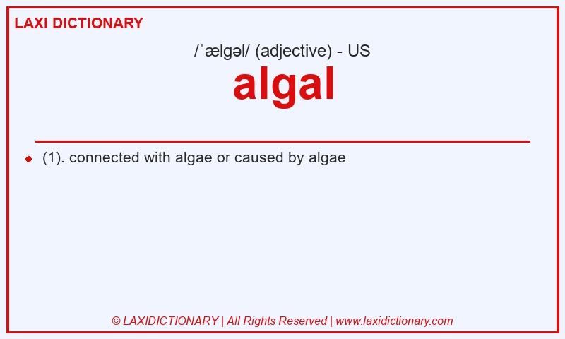 Definition algal in American English