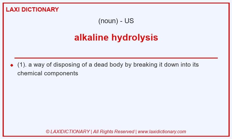 Definition alkaline hydrolysis in American English