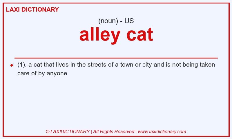 Definition alley cat in American English