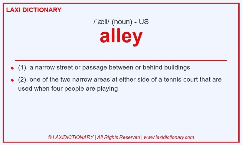 Definition alley in American English