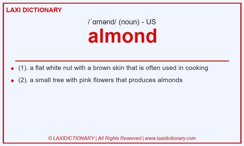 Definition almond in American English
