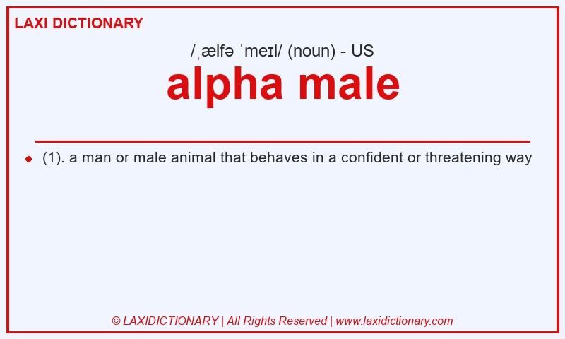 Definition alpha male in American English