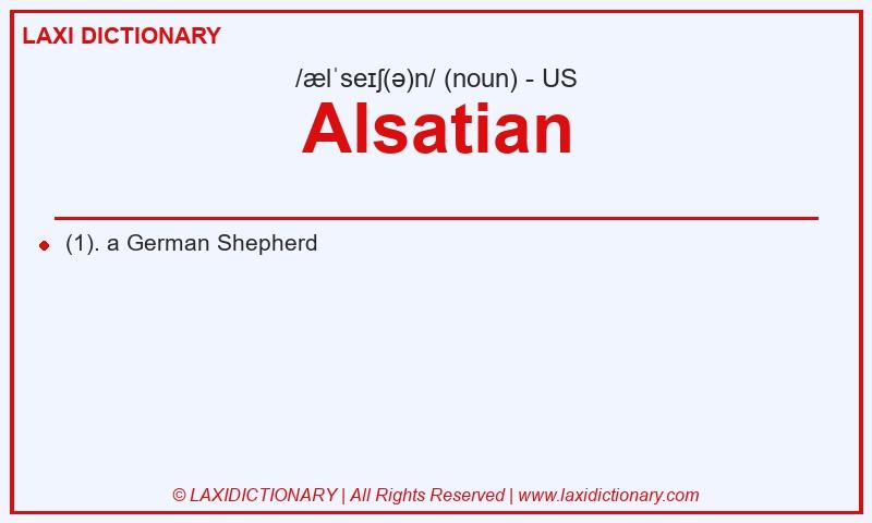 Definition Alsatian in American English