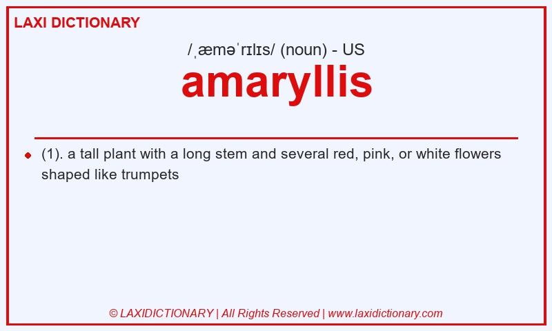 Definition amaryllis in American English