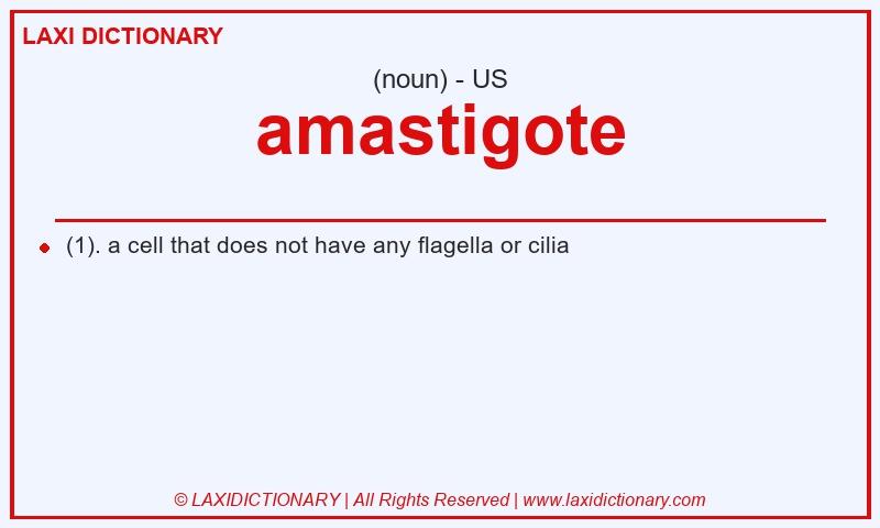Definition amastigote in American English